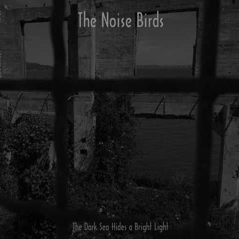 NOISE BIRDS, THE - The Dark Sea Hides a Bright Light