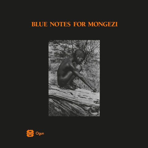 BLUE NOTES - Blue Notes For Mongezi