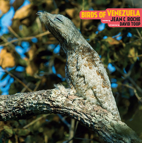 ROCHE, JEAN C. - Birds Of Venezuela