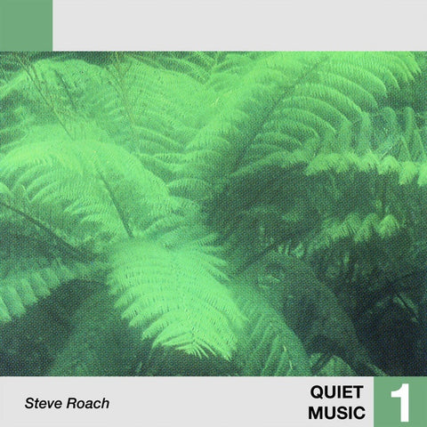 ROACH, STEVE - Quiet Music 1