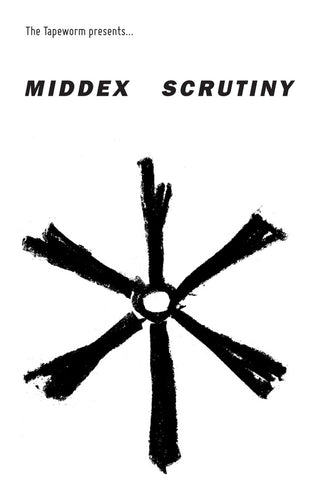 MIDDEX - Scrutiny