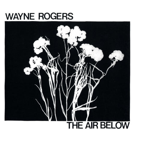 ROGERS, WAYNE - The Air Below