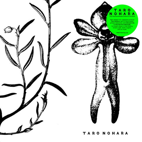 NOHARA, TARO - Poly-Time Soundscapes / Forest Of The Shrine