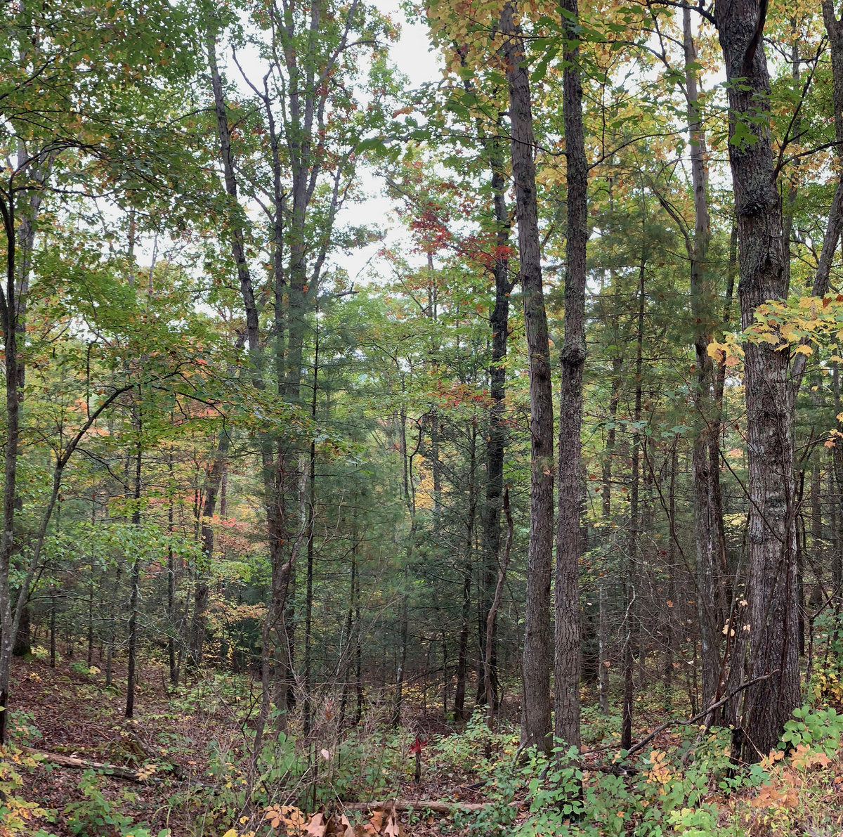 |▄___▀▀|||_____▀▀| -  etiopía . plaza . de . la . transparencia