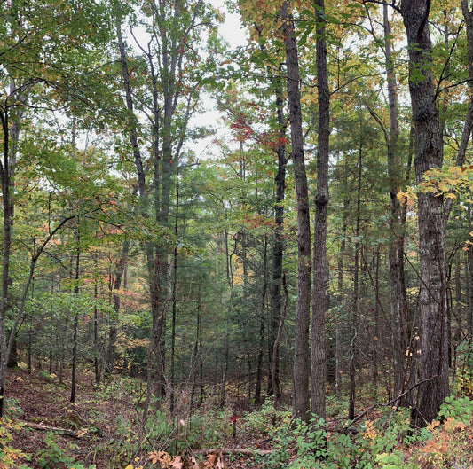 |▄___▀▀|||_____▀▀| -  etiopía . plaza . de . la . transparencia